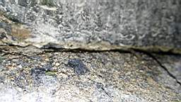 acastle
                          109100.jpg